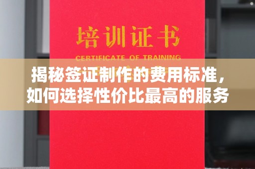斗六揭秘签证制作的费用标准，如何选择性价比最高的服务？